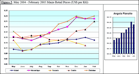 5: May 2004 - February 2005 Maize Retail Prices (US$ per KG)