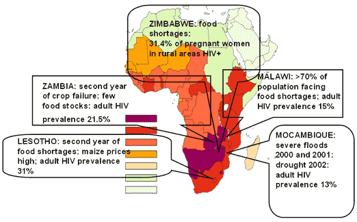 2002 Food crises in Southern Africa