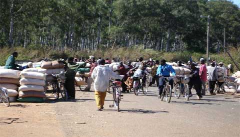 Figure 1: Cyclists transporting maize from Milange (Mozambique) to Muloza (Malawi)
