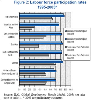 Labour force participation rates 1995-2005