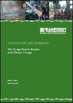 Clouds on the horizon: The Congo BasinвЂ™s forests and climate change