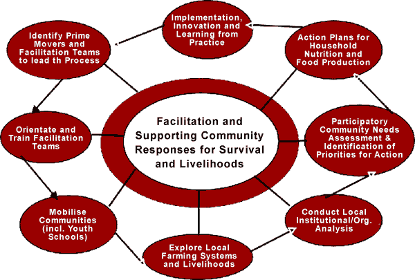 Local Community Action Cycle to Strengthen Nutrition and Food Security in  Southern African Communities/Households
